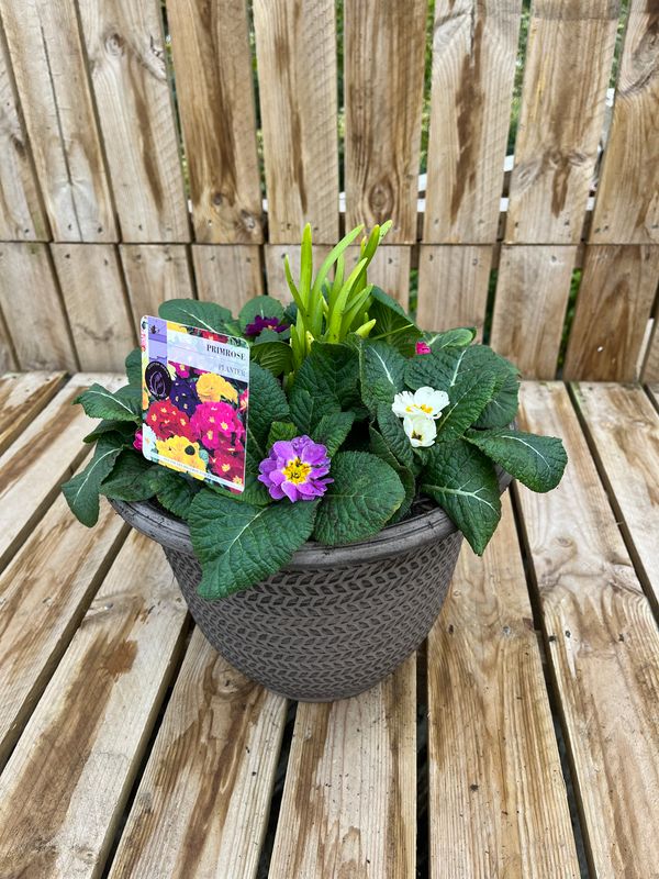 Picture of Primrose Planter Parker