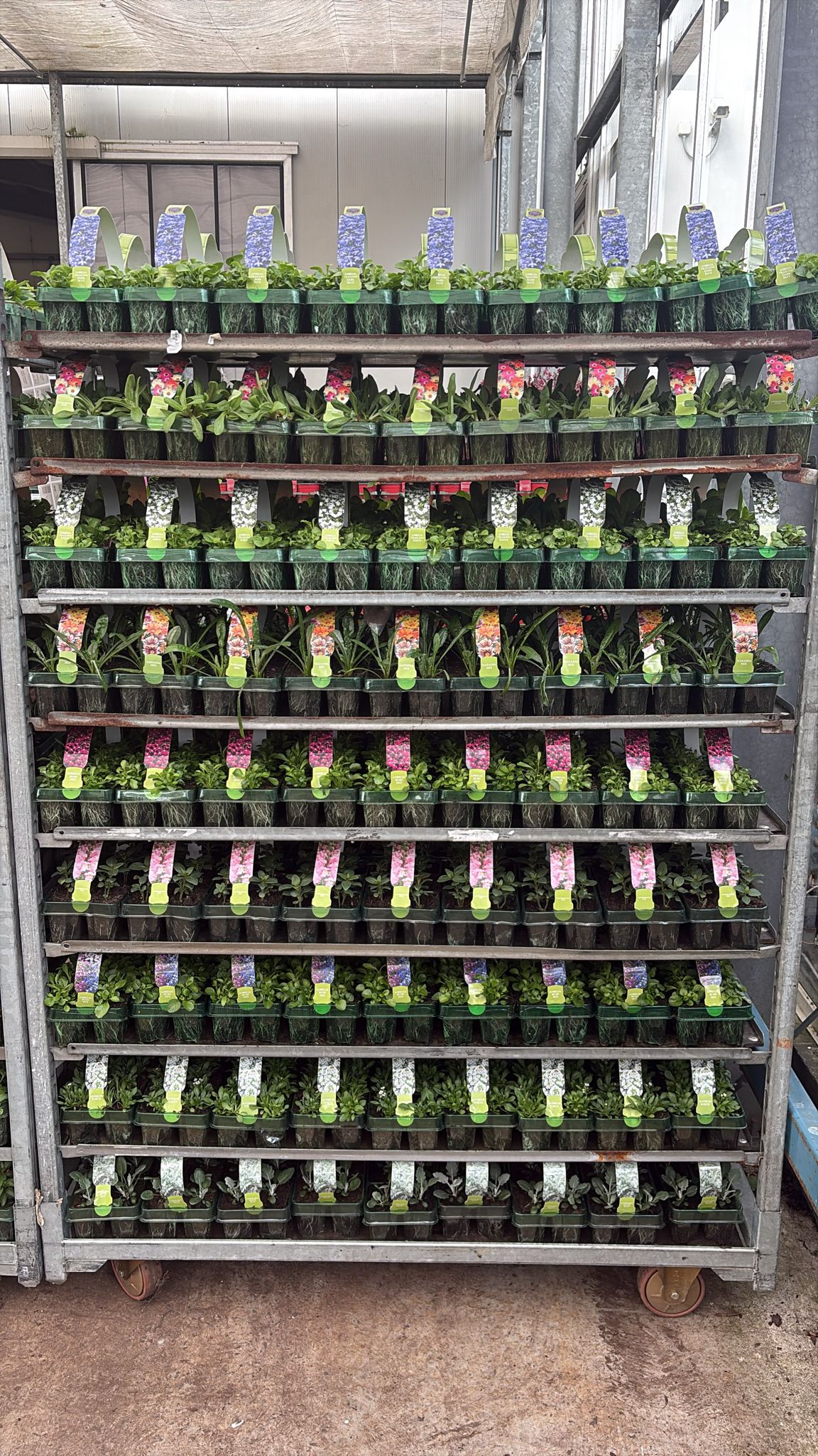 Picture of Bedding 6/10 Pack