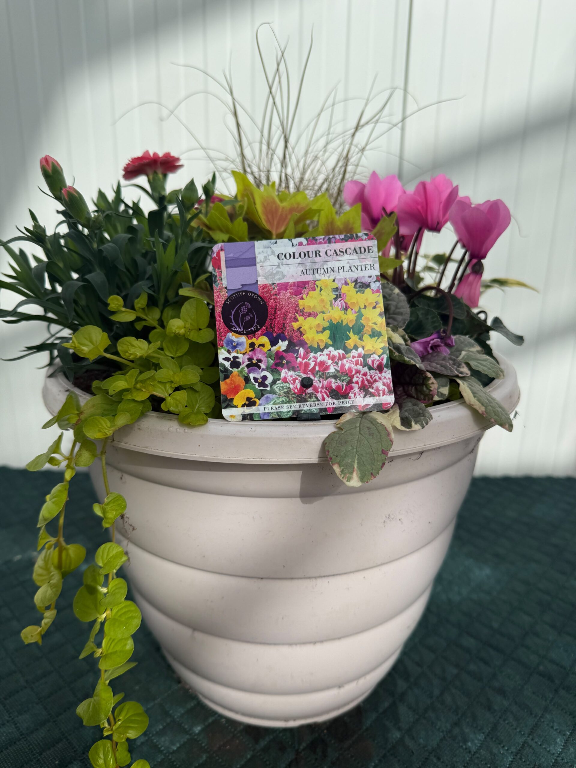 Picture of Autumn Planter Beehive