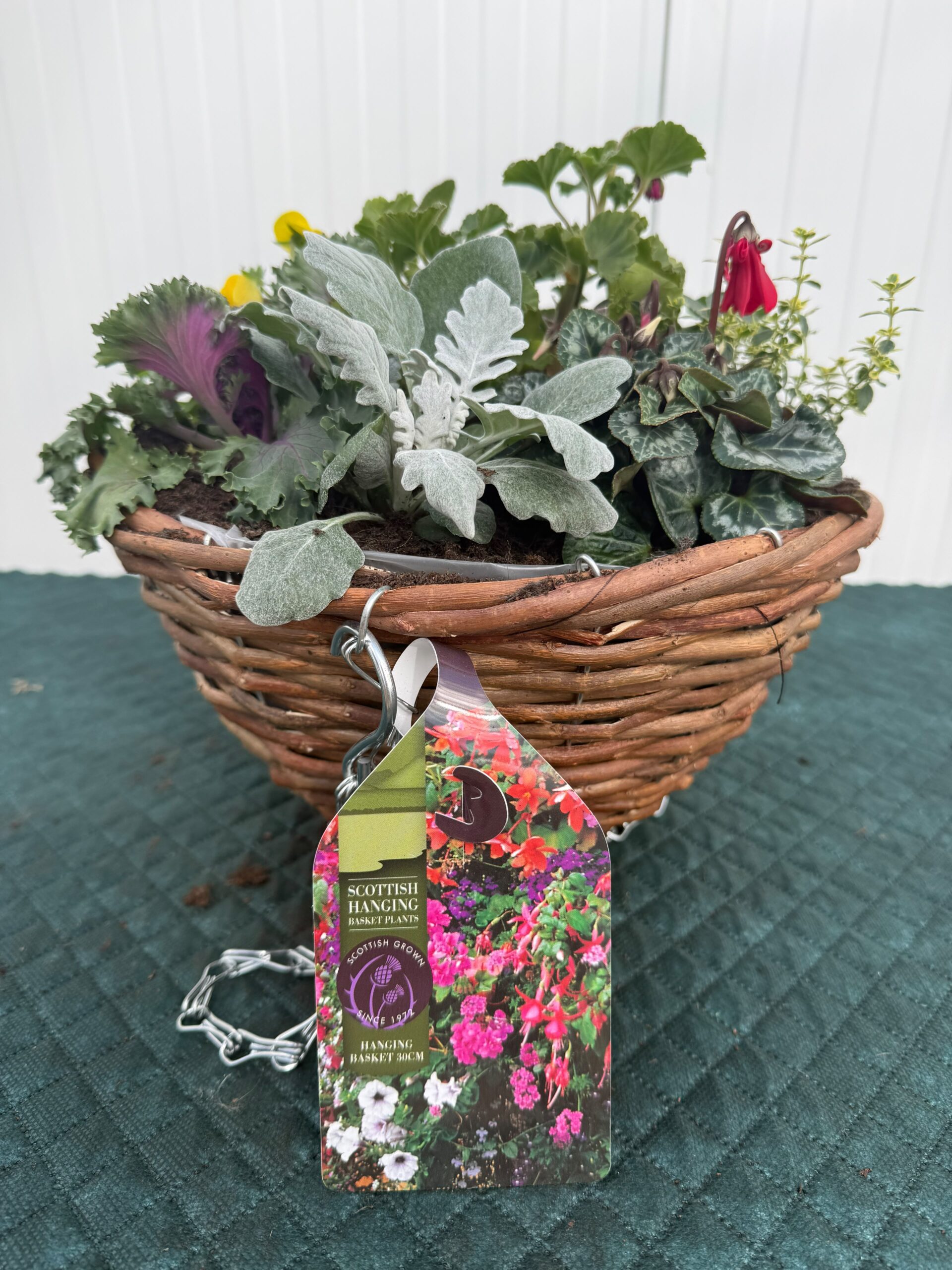 Picture of Autumn Hanging Basket Rattan 