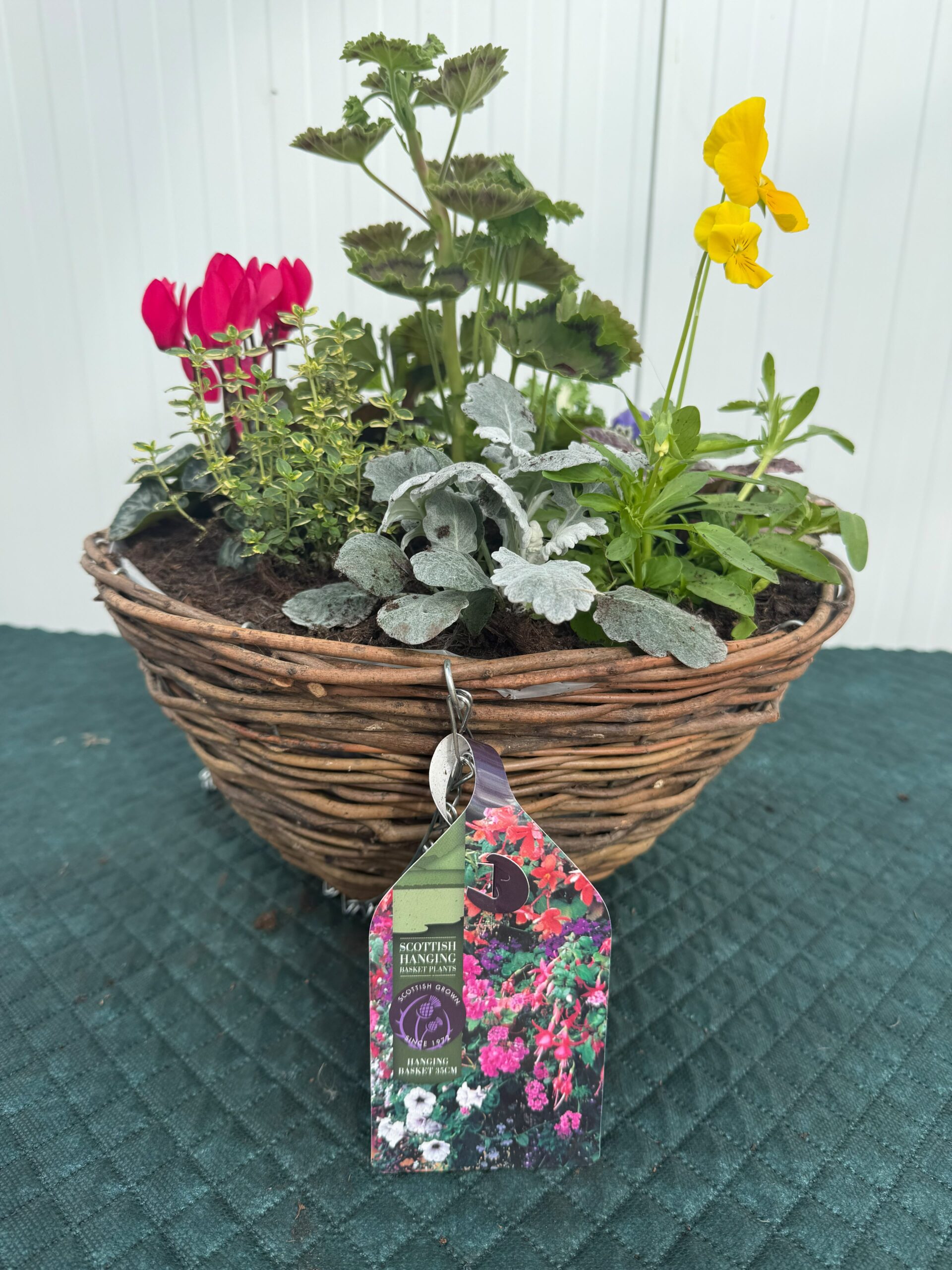 Picture of Autumn Hanging Basket Rattan 