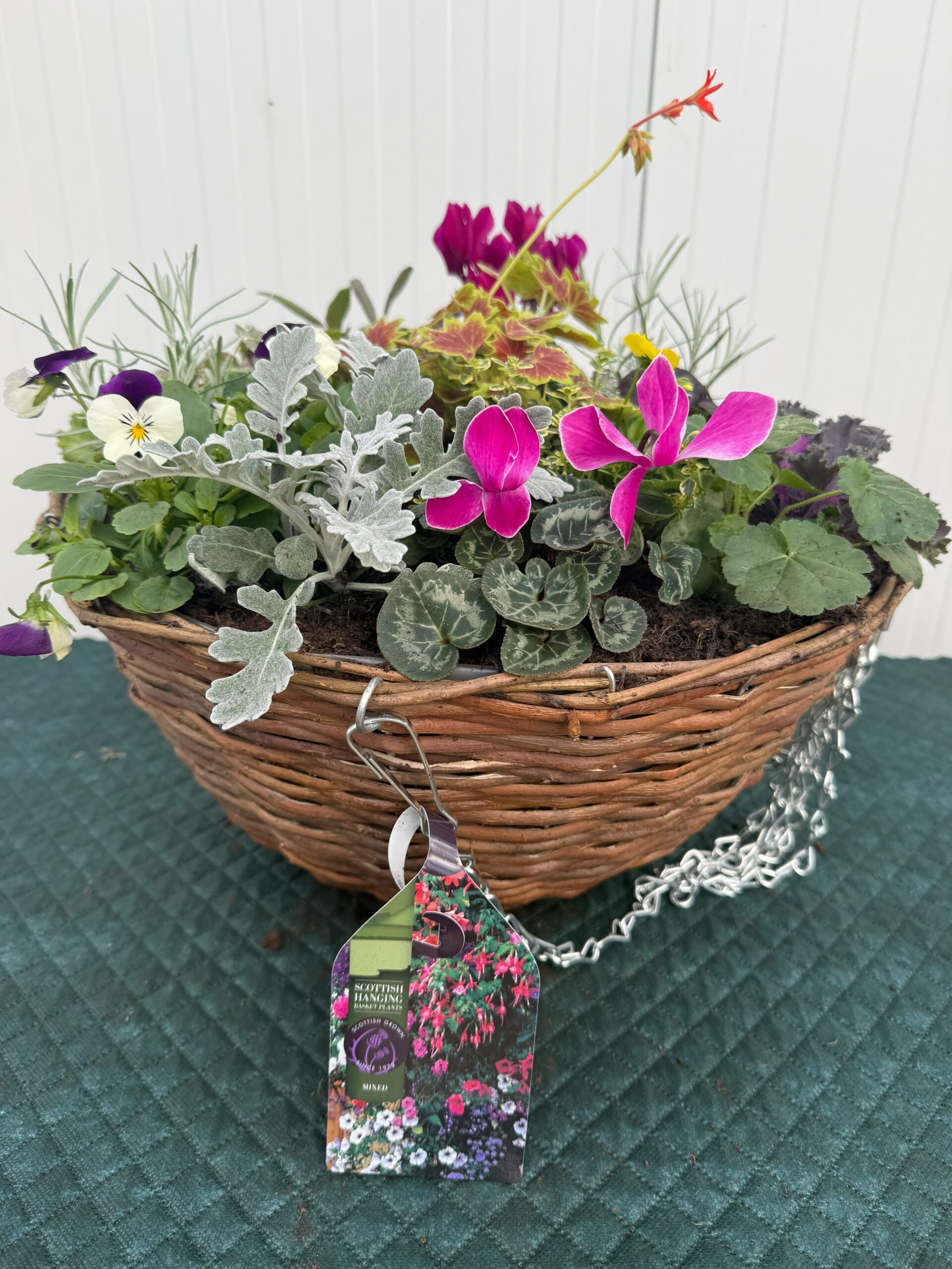 Picture of Autumn Hanging Basket Rattan 