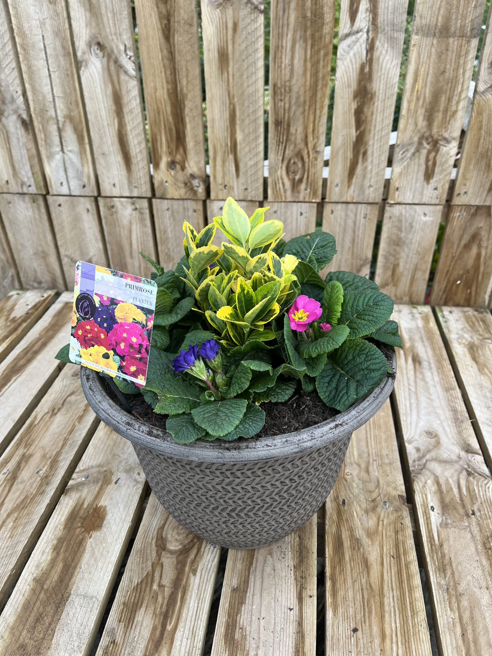 Picture of Primrose Planter Parker